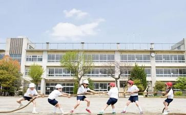 大学生工作个人总结优质5篇