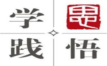 学思践悟的心得体会8篇