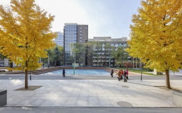 2023学校食堂个人总结5篇