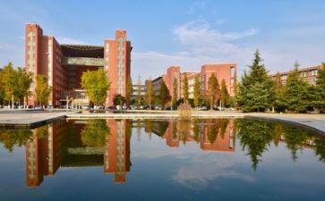 学校财务个人述职报告8篇