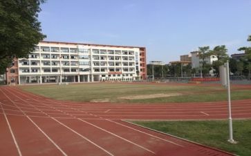 对学校的心得体会5篇
