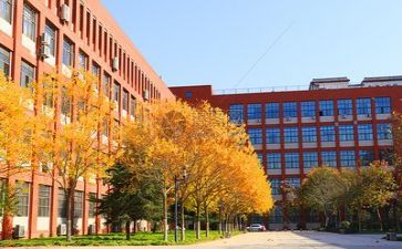 关于对学校的调查报告5篇