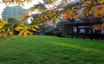 学校食堂管理员年终工作总结6篇