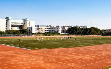 2023学校个人工作总结8篇