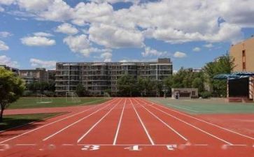 学校心得体会范文300最新5篇