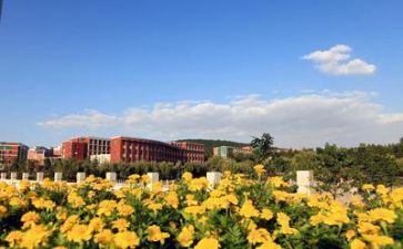 观学校心得体会500字8篇