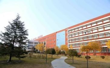 在学校军训后心得体会模板8篇