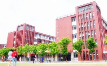 对学校的建议作文8篇
