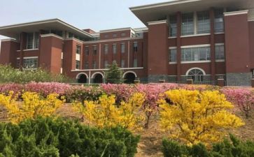 学校感悟及心得通用5篇