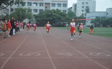 学校体育年度工作报告5篇