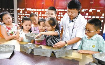 小学艺术教育总结6篇