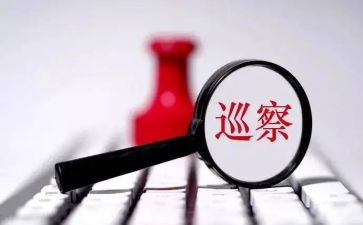 巡察组长述职报告7篇