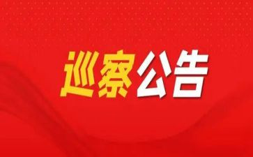 巡察干部的工作总结6篇