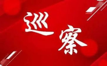 参加巡察工作总结6篇