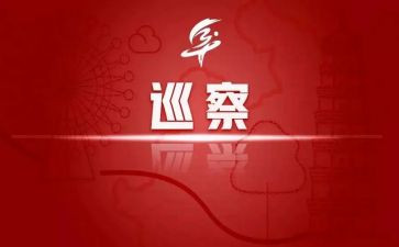 镇向巡察组工作汇报材料5篇