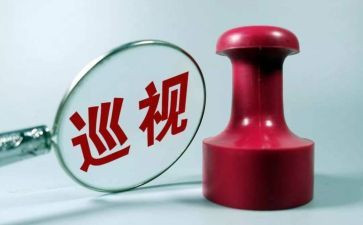 巡查的工作总结5篇