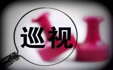 巡视办工作总结5篇