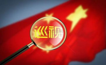 巡视整改个人对照材料6篇