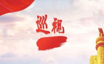 个人巡视工作总结6篇