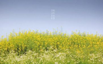 写人叙事的作文600字优秀8篇