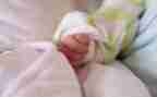 水果宝宝幼儿园教案7篇