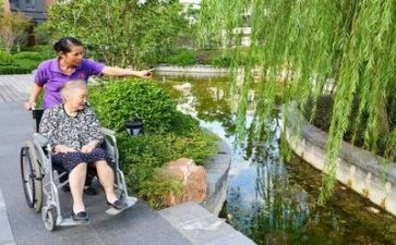 养老护理员个人总结6篇