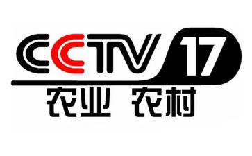 央视榜样5心得体会优秀6篇