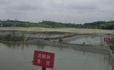 养殖月总结推荐8篇