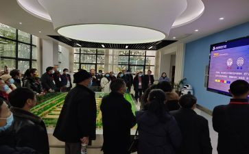 2024年教师网络研修心得推荐5篇