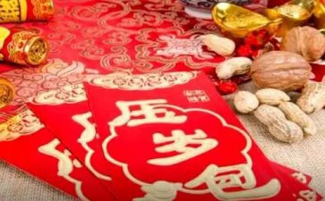 我的压岁书小学作文6篇