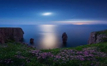 中班《小树叶》音乐教案7篇