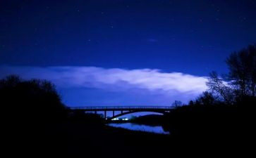 家乡的夜作文300字模板8篇