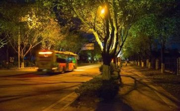 武汉日夜电影观后感8篇