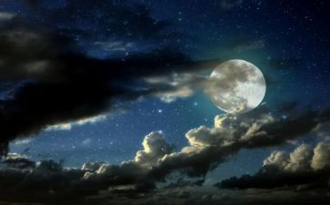 家乡的夜作文300字通用8篇