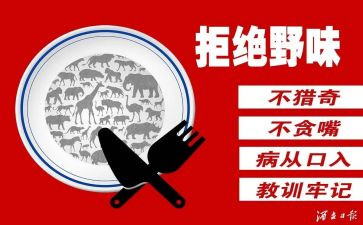 健康饮食拒绝野味演讲稿8篇