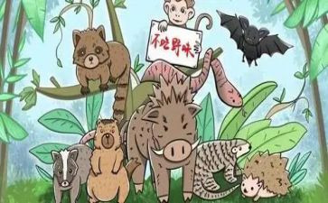 珍爱生命远离野味演讲稿7篇