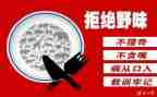 健康饮食拒绝野味演讲稿8篇