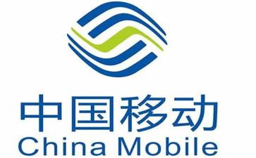 移动公司工作总结报告5篇
