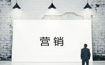 营销总结心得体会6篇