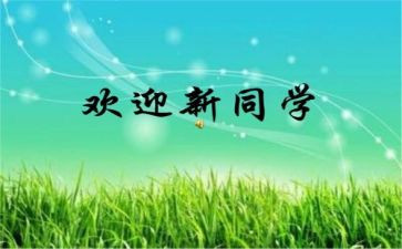 幼儿园迎新活动总结优秀5篇