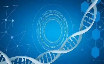 医学生实习体会总结7篇