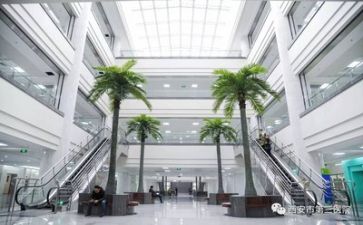 医院2024年度总结推荐6篇