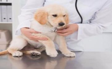 医院年终个人总结通用8篇