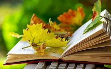 永恒的光作文7篇