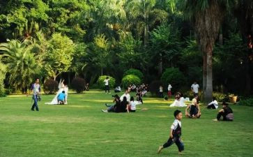 小学游园活动方案6篇