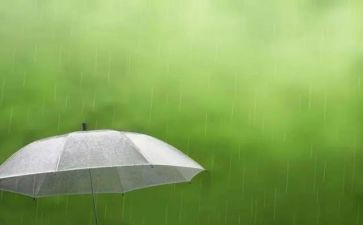 雨来的故事和读后感6篇