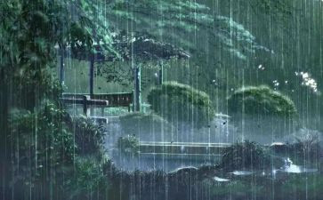 军训时下雨心得体会8篇