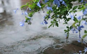语言《下雨了》教案6篇