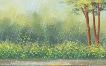 雨中情二年级作文6篇