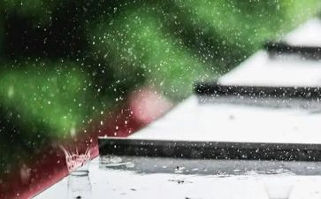 雨来的故事和读后感模板6篇